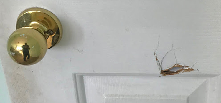 interior door hole repair Lake Mathews